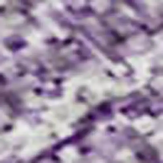 Purple And Ivory Ombre Washable Area Rug With UV Protection Photo 2