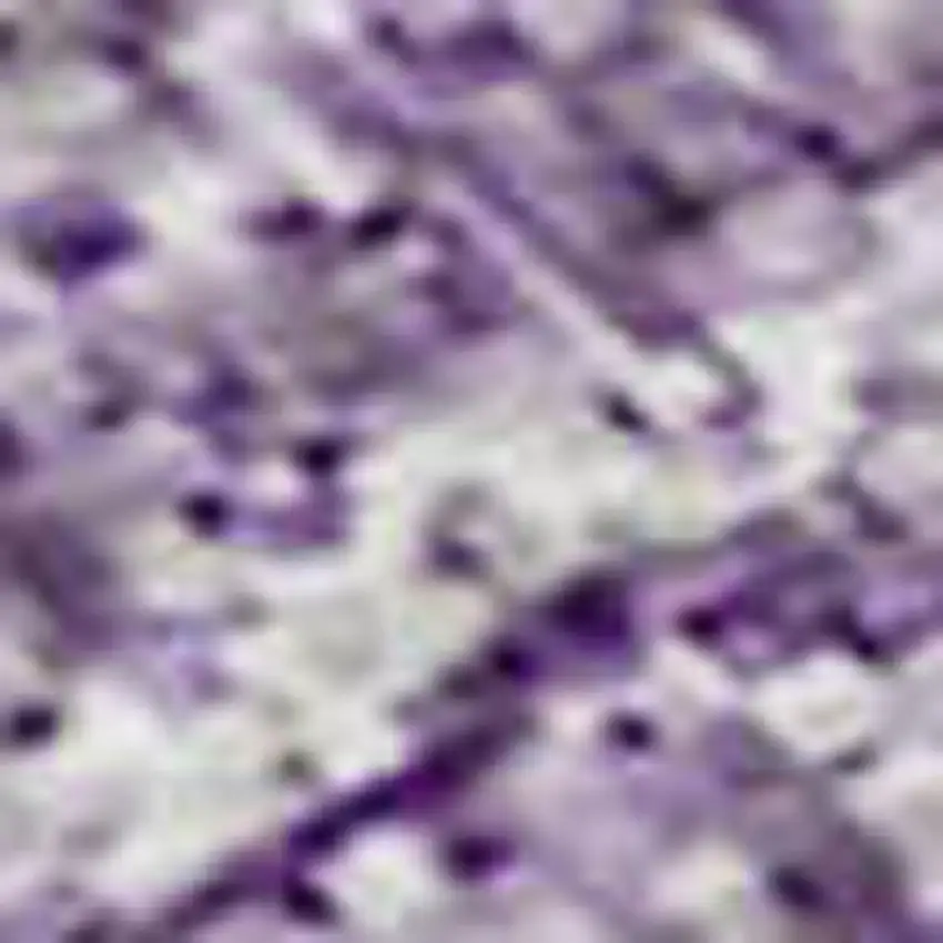 Purple And Ivory Ombre Washable Area Rug With UV Protection Photo 2