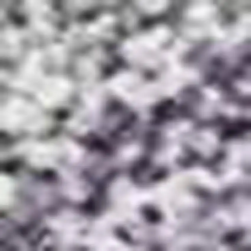 Purple And Silver Seashell Washable Indoor Outdoor Area Rug Photo 2