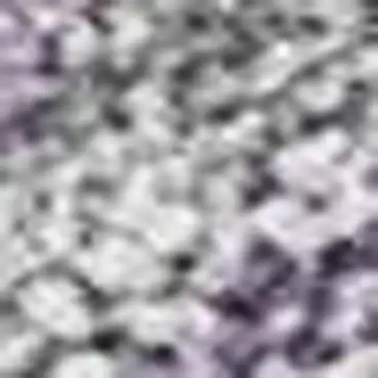 Purple And Silver Seashell Washable Indoor Outdoor Area Rug Photo 2