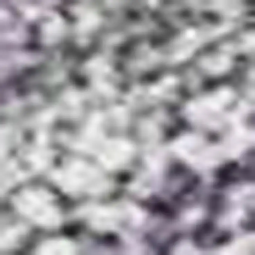 Purple And Silver Seashell Washable Indoor Outdoor Area Rug Photo 2