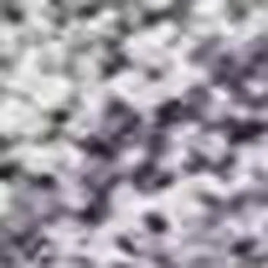 Purple And Silver Seashell Washable Indoor Outdoor Area Rug Photo 2