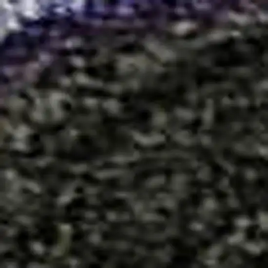 Purple Green And Ivory Polka Dot Washable Area Rug With UV Protection Photo 2