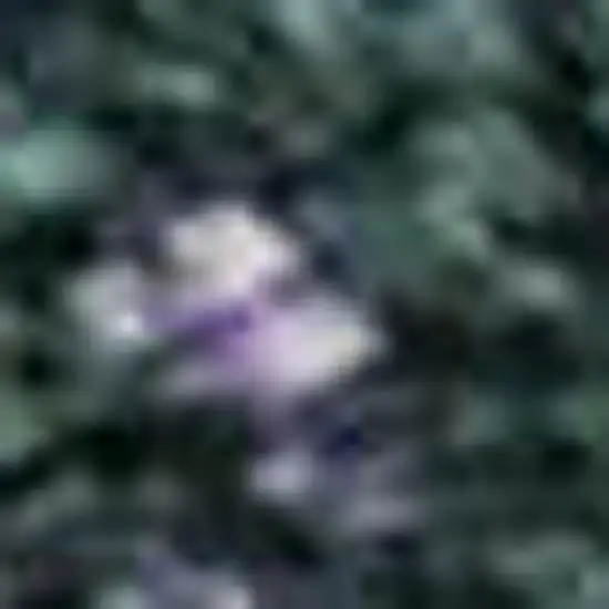 Purple Lime Green And Teal Abstract Washable Area Rug With UV Protection Photo 2