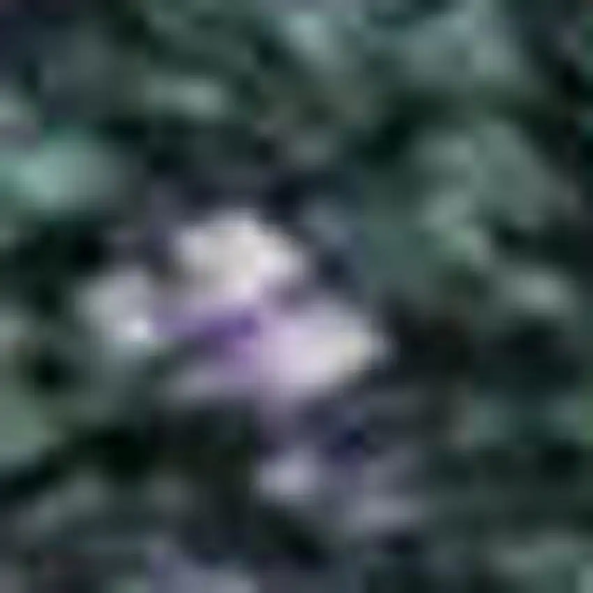 Purple Lime Green And Teal Abstract Washable Area Rug With UV Protection Photo 2