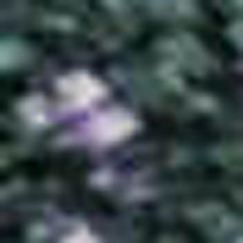 Purple Lime Green And Teal Abstract Washable Area Rug With UV Protection Photo 2