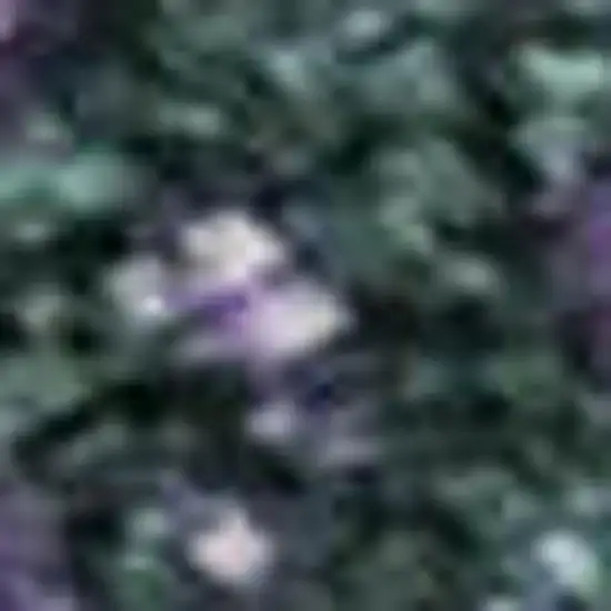 Purple Lime Green And Teal Abstract Washable Area Rug With UV Protection Photo 2