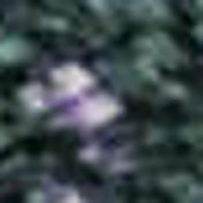 Purple Lime Green And Teal Abstract Washable Area Rug With UV Protection Photo 2