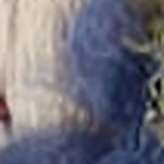 Ivory And Blue Indoor Outdoor Area Rug Photo 3