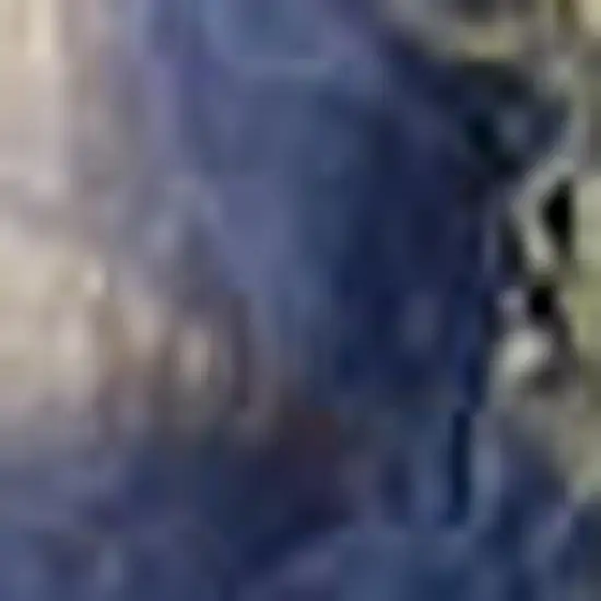 Ivory And Blue Indoor Outdoor Area Rug Photo 1