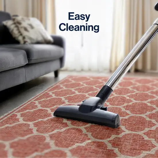 Red And Beige Geometric Indoor Outdoor Area Rug Photo 9