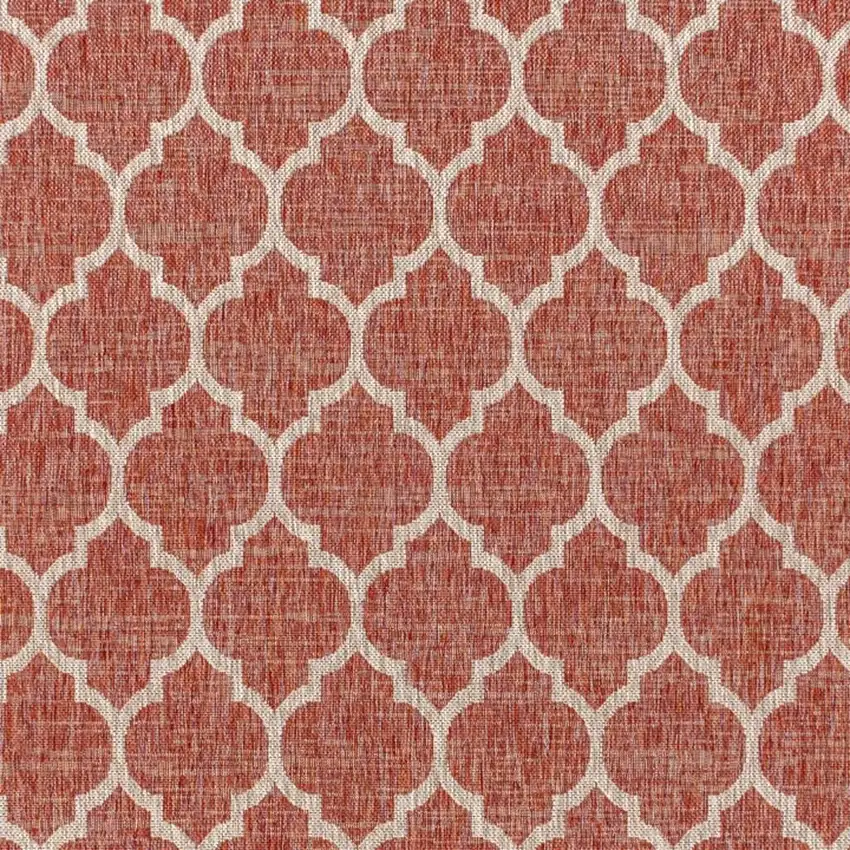 Red And Beige Geometric Indoor Outdoor Area Rug Photo 2
