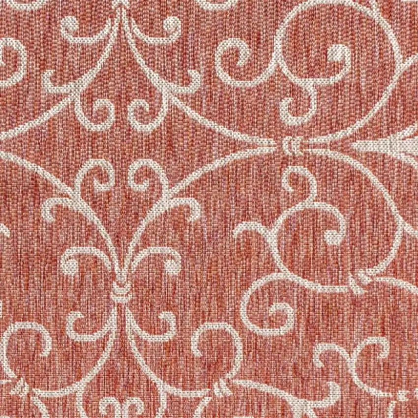 Red And Beige Medallion Indoor Outdoor Area Rug Photo 2