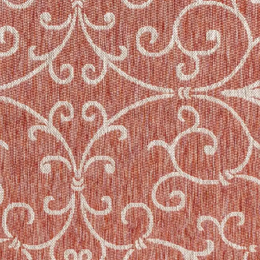 Red And Beige Medallion Indoor Outdoor Area Rug Photo 2