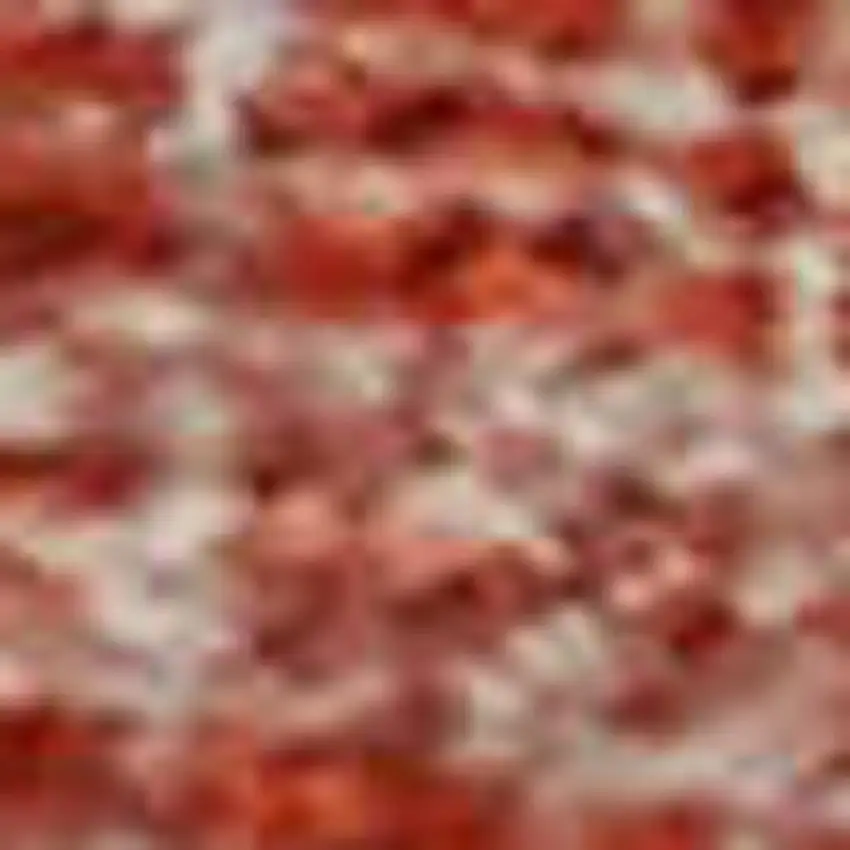 Red And Ivory Geometric Washable Area Rug With UV Protection Photo 2