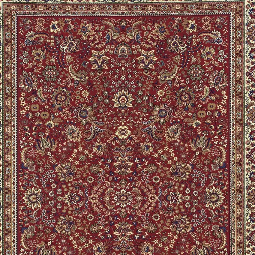 Red And Ivory Oriental Area Rug Photo 4