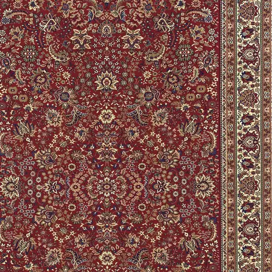 Red And Ivory Oriental Area Rug Photo 4