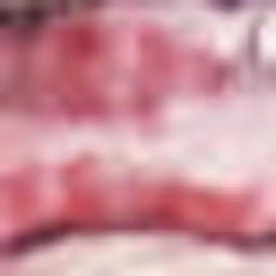 Red And Navy Medallion Distressed Washable Area Rug Photo 1