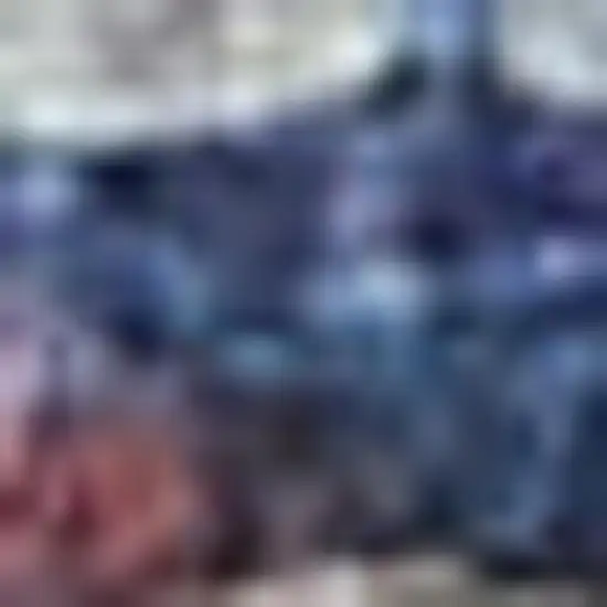 Red And Navy Oriental Power Loom Distressed Washable Area Rug Photo 1