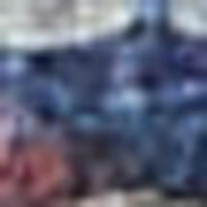 Red And Navy Oriental Power Loom Distressed Washable Area Rug Photo 1