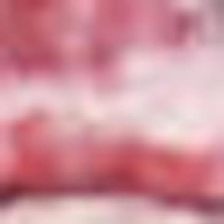 Red And Navy Southwestern Power Loom Distressed Washable Area Rug Photo 1