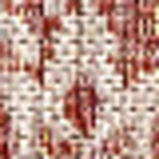 Red And Taupe Medallion Indoor Outdoor Area Rug Photo 3