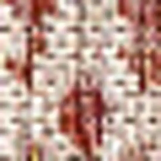 Red And Taupe Medallion Indoor Outdoor Area Rug Photo 2