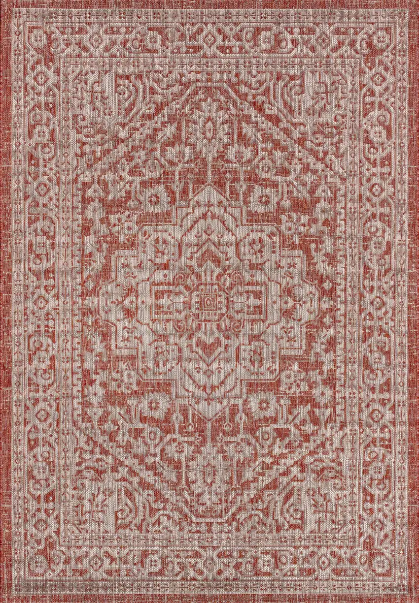 Red And Taupe Medallion Indoor Outdoor Area Rug Photo 3