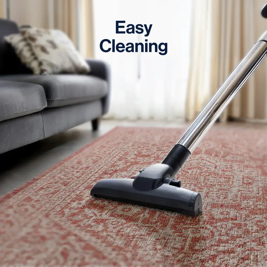 Red And Taupe Medallion Indoor Outdoor Area Rug Photo 9