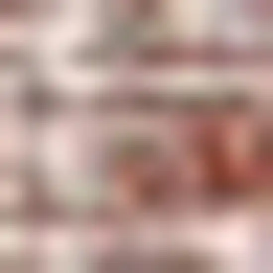 Red And Taupe Medallion Indoor Outdoor Area Rug Photo 2