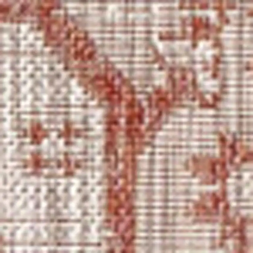 Red And Taupe Medallion Indoor Outdoor Area Rug Photo 2