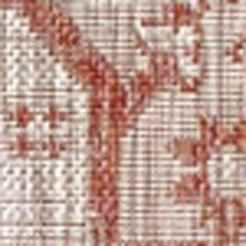 Red And Taupe Medallion Indoor Outdoor Area Rug Photo 2