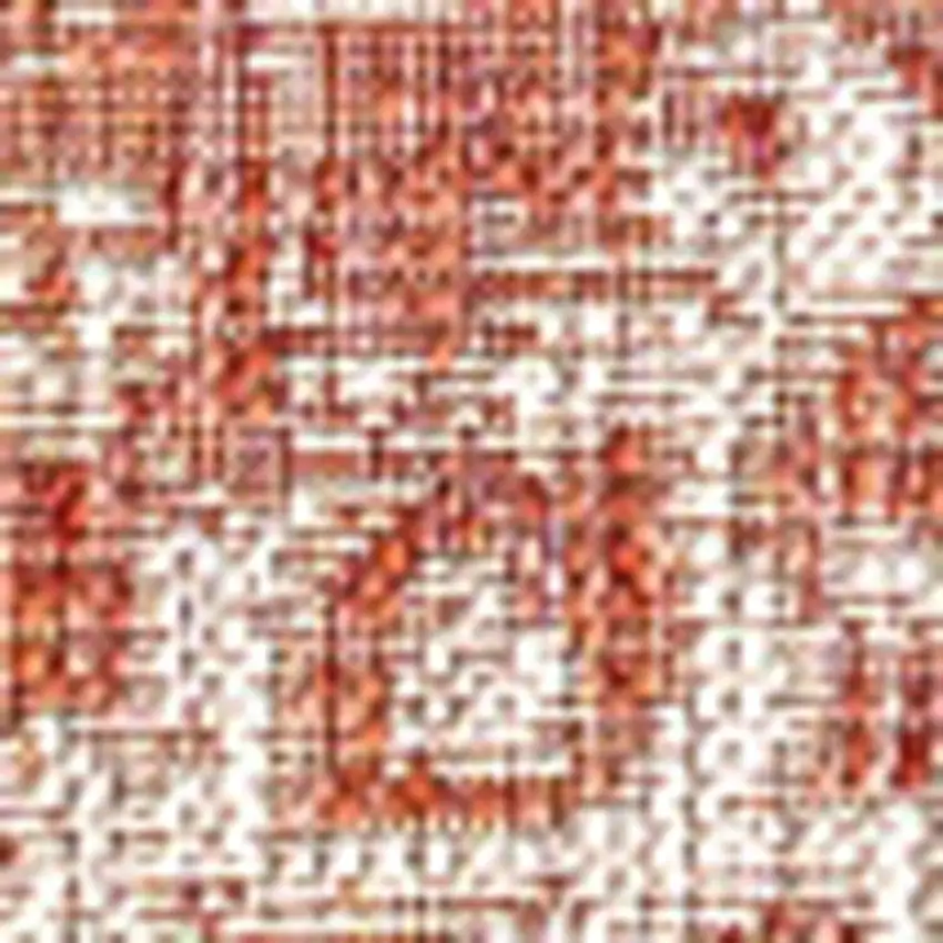 Red And Taupe Medallion Indoor Outdoor Area Rug Photo 3