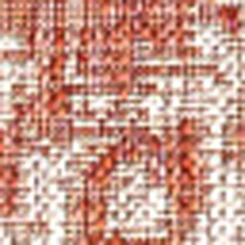 Red And Taupe Medallion Indoor Outdoor Area Rug Photo 2