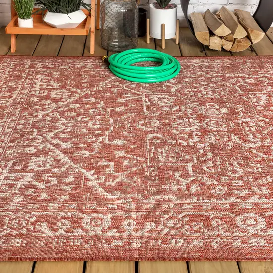 Red And Taupe Medallion Indoor Outdoor Area Rug Photo 7