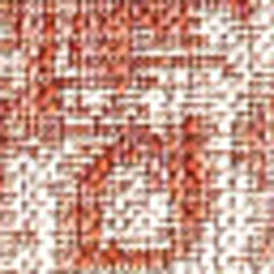 Red And Taupe Medallion Indoor Outdoor Area Rug Photo 2