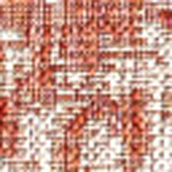 Red And Taupe Medallion Indoor Outdoor Area Rug Photo 2