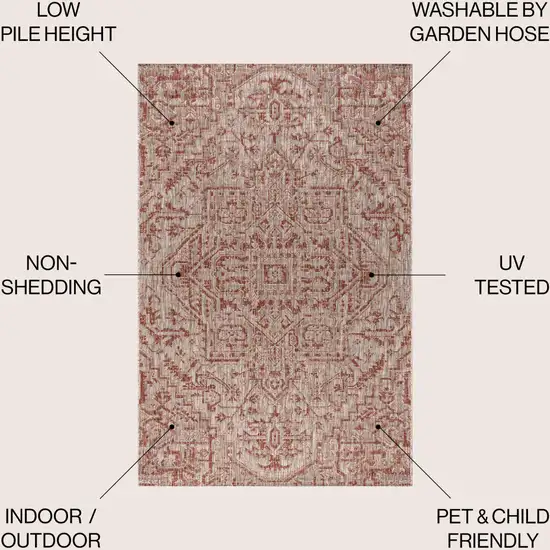 Red And Taupe Medallion Indoor Outdoor Area Rug Photo 9