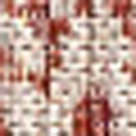 Red And Taupe Medallion Indoor Outdoor Area Rug Photo 2