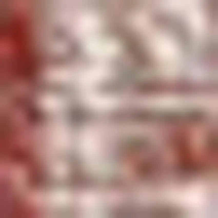 Red And Taupe Medallion Indoor Outdoor Area Rug Photo 2