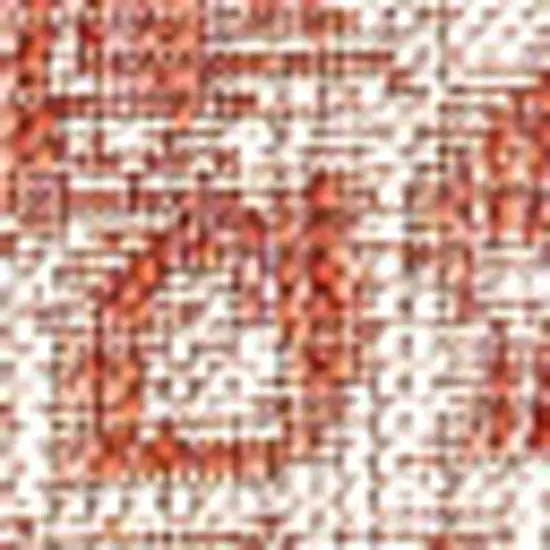 Red And Taupe Medallion Indoor Outdoor Area Rug Photo 2