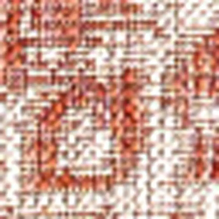 Red And Taupe Medallion Indoor Outdoor Area Rug Photo 2