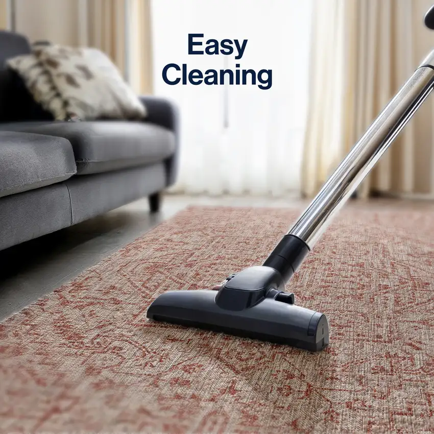 Red And Taupe Medallion Indoor Outdoor Area Rug Photo 9