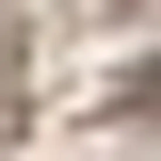 Red And Taupe Medallion Indoor Outdoor Area Rug Photo 2