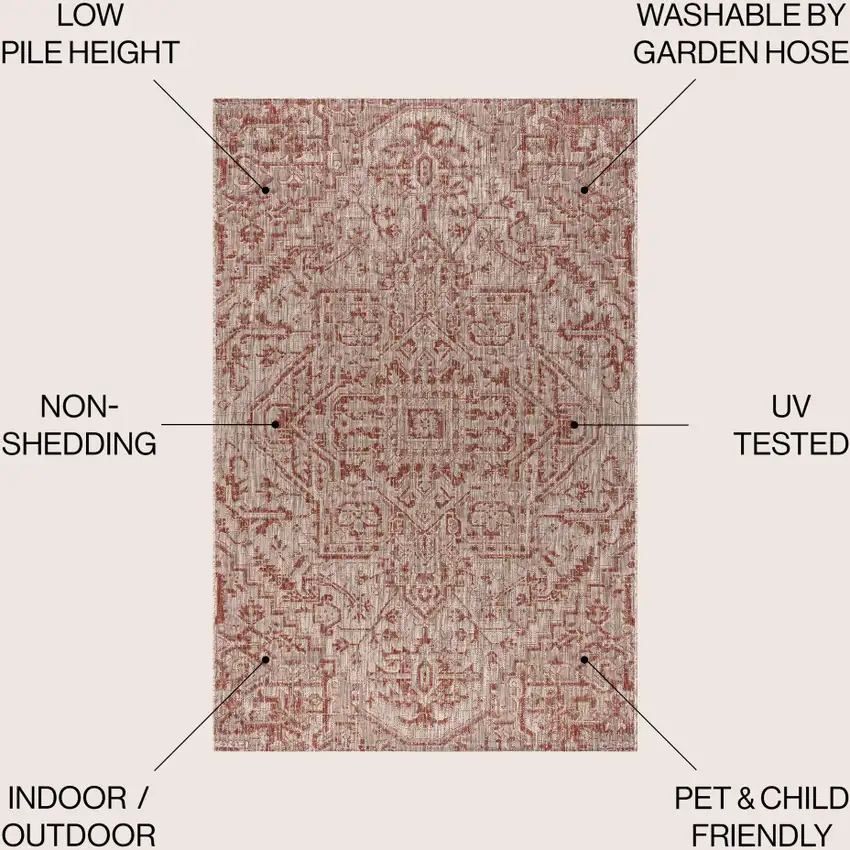 Red And Taupe Medallion Indoor Outdoor Area Rug Photo 9