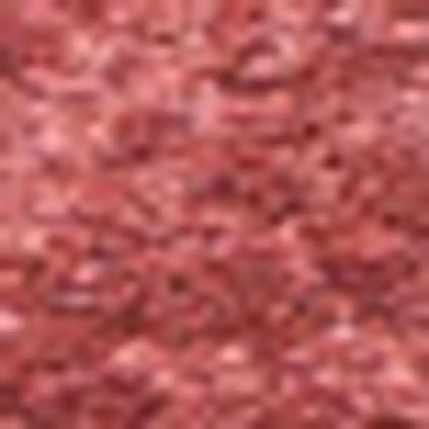 Red Area Rug Photo 3
