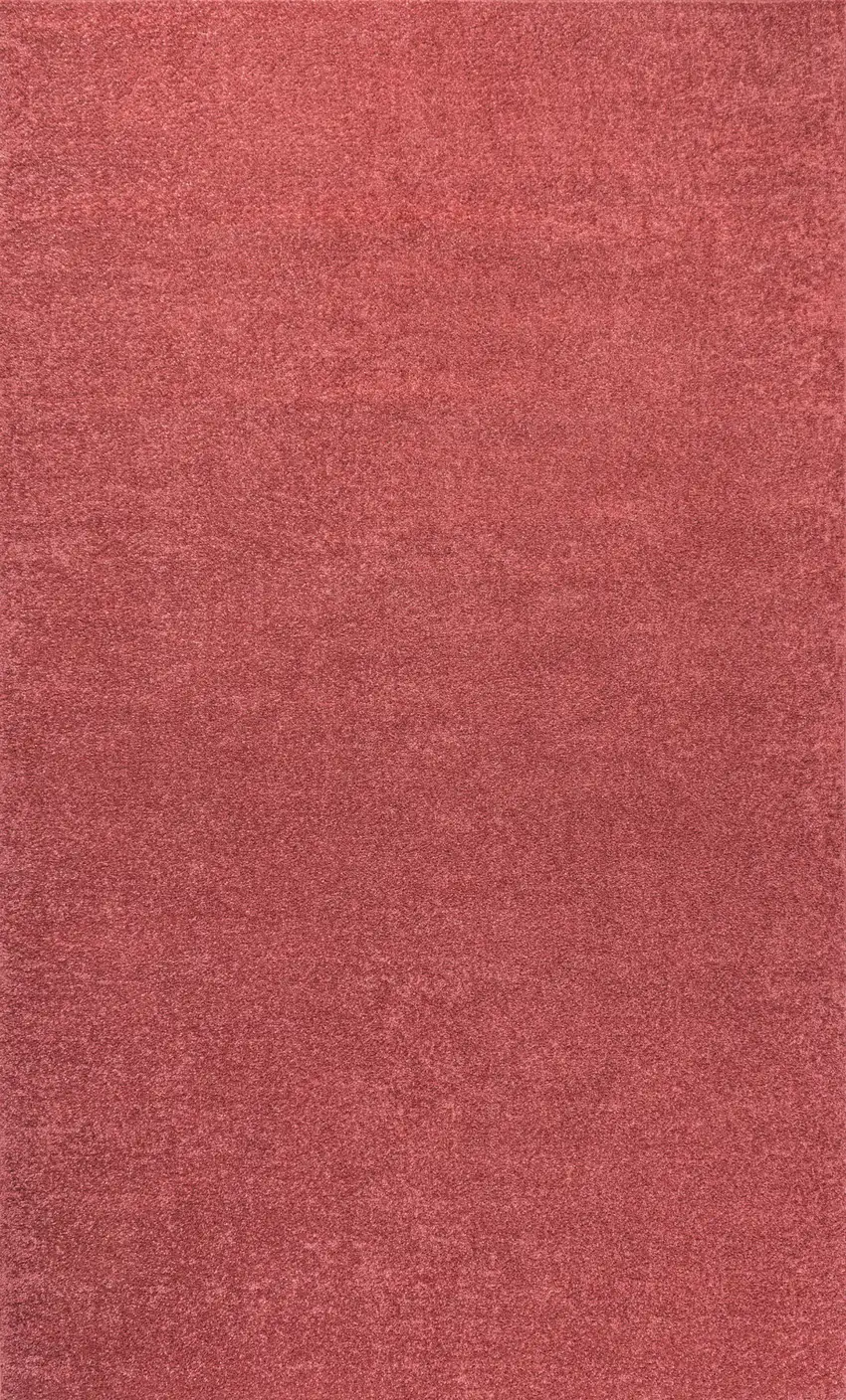 Red Area Rug Photo 4