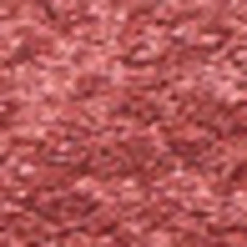 Red Area Rug Photo 4
