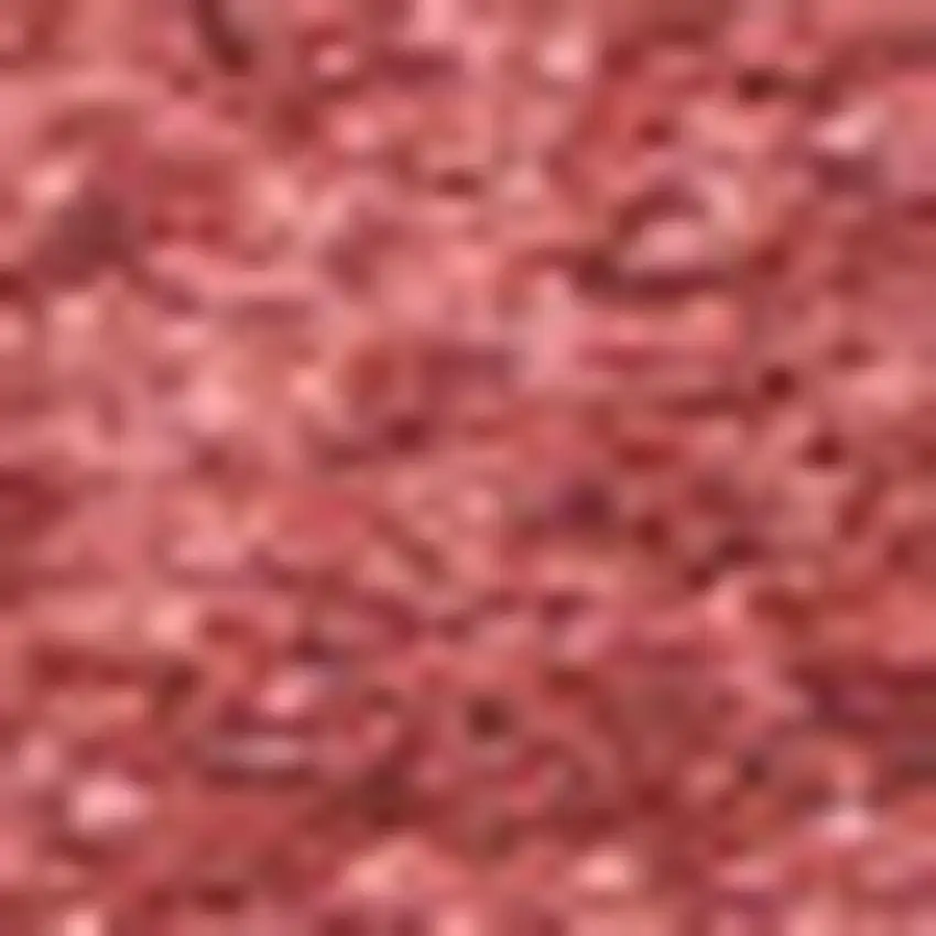 Red Area Rug Photo 3