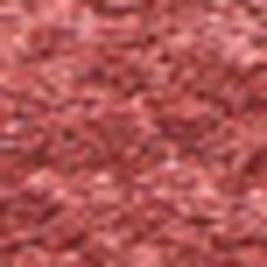Red Area Rug Photo 2